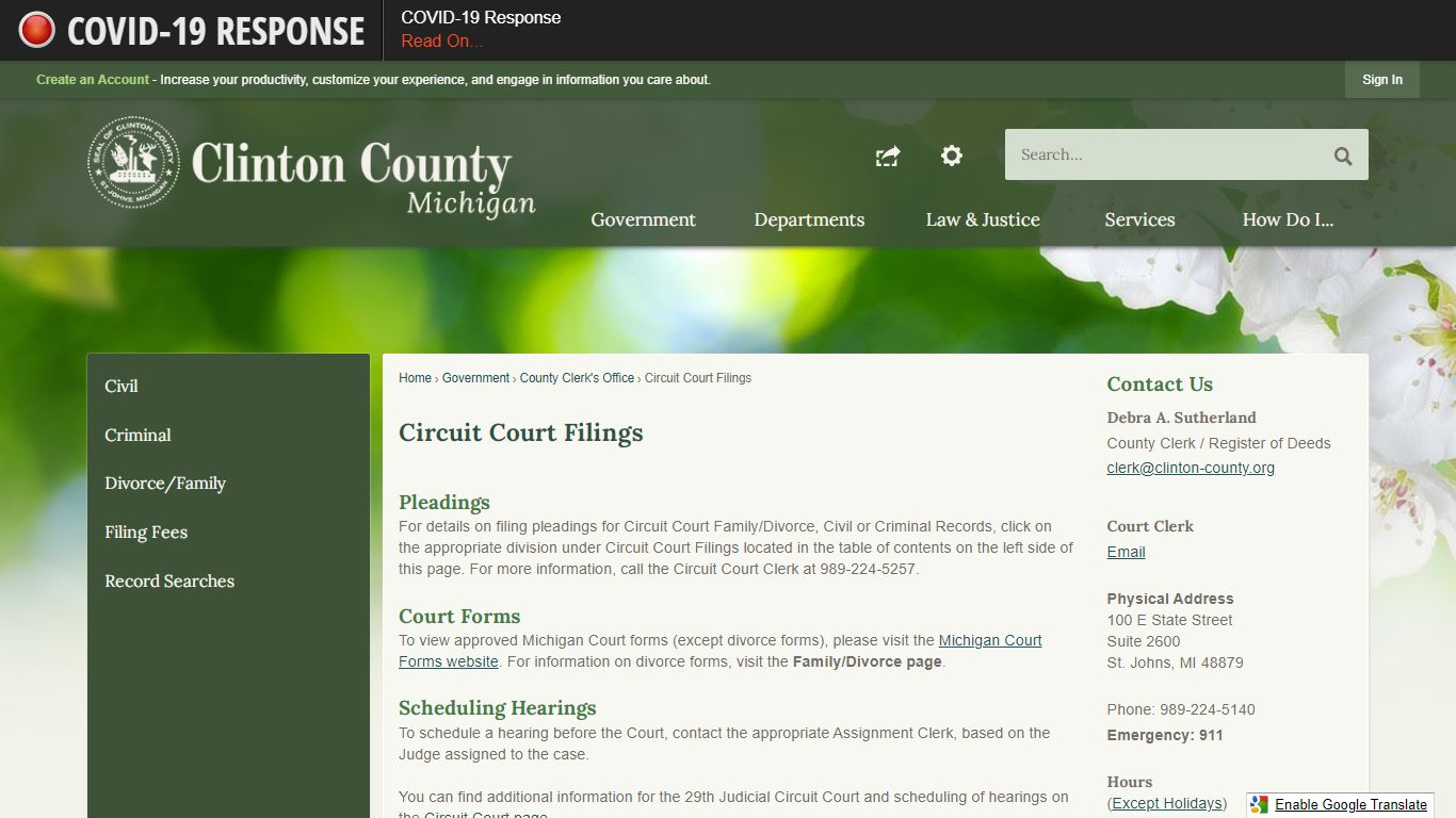 Circuit Court Filings | Clinton County, MI